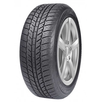 Шина EVERGREEN EW62 165/65 R14 79T